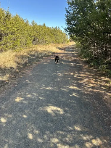 Sutton wilderness clearance trail