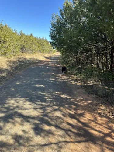 Sutton wilderness hotsell trail park