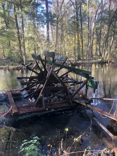 Rural Retreats: 5 Stunning Hiking Trails in Orangeburg – South Carolina