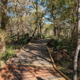 Ottine Swamp Trail, Texas - 134 Reviews, Map | AllTrails