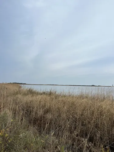 bike trails cape henlopen state park