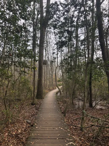 salisbury mountain bike trails