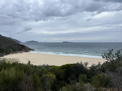 10 Best Hikes and Trails in Tomaree National Park | AllTrails