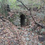 Cravens House Loop Trail, Tennessee - 1,198 Reviews, Map | AllTrails