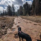 Silvershield Trail, Colorado - 293 Reviews, Map | AllTrails