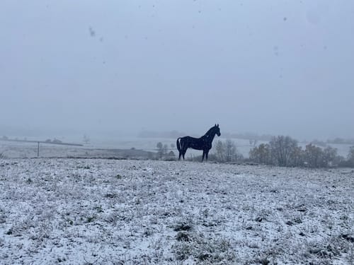 Auer-Rundweg