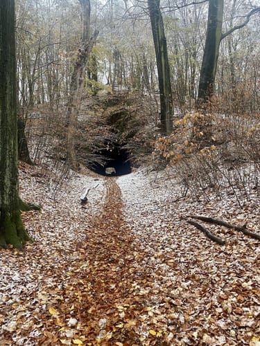 Auer-Rundweg
