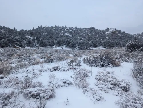 Best Hikes and Trails in Browns Canyon National Monument | AllTrails