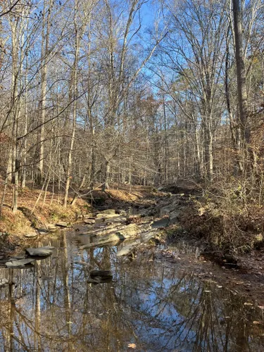 Best Camping Trails In William B. Umstead State Park | AllTrails