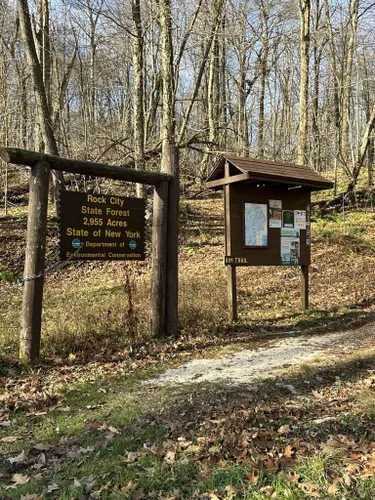 Best Hikes and Trails in Rock City State Forest | AllTrails