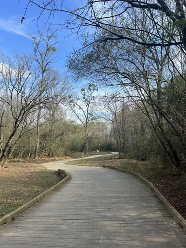 Best Hikes and Trails in George Pierce County Park | AllTrails