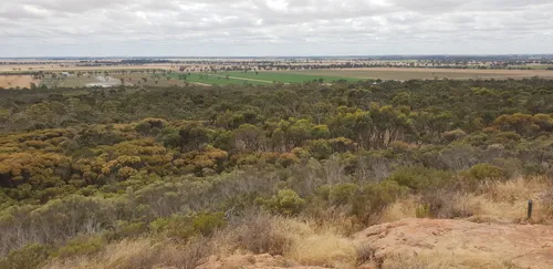Best Hikes and Trails in Mount Monster Conservation Park | AllTrails