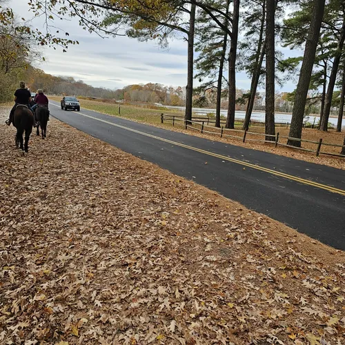 2023 Best Forest Trails in Queen Anne AllTrails