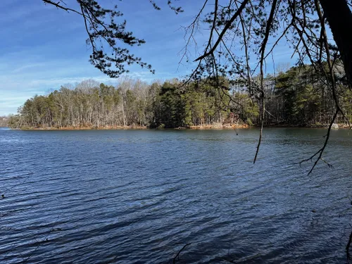 Best Hikes and Trails in Smith Mountain Lake State Park | AllTrails