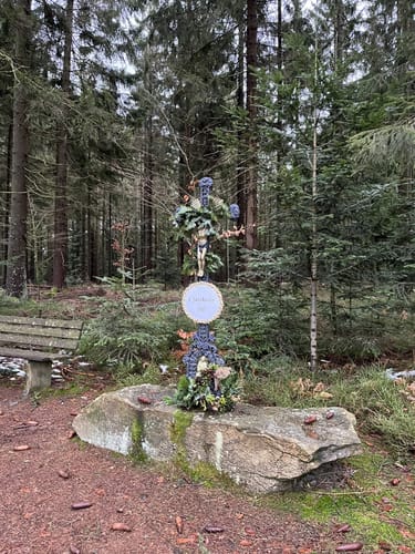 Rund um Frath