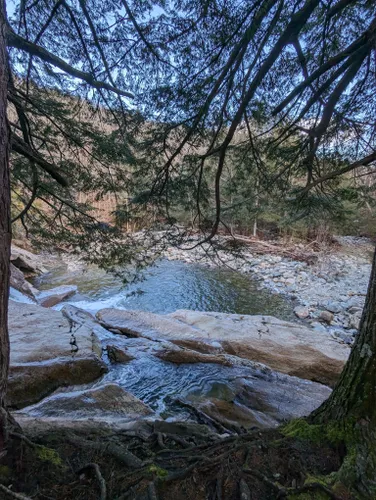 Best 10 Hiking Trails In Okemo State Forest AllTrails   EyJidWNrZXQiOiJhc3NldHMuYWxsdHJhaWxzLmNvbSIsImtleSI6InVwbG9hZHMvcGhvdG8vaW1hZ2UvNjk0MDU0OTUvZDU2NWJmZjA3MTZiNTRlMmFkNjNhYzA4NDdiNjg5MTUuanBnIiwiZWRpdHMiOnsidG9Gb3JtYXQiOiJ3ZWJwIiwicmVzaXplIjp7IndpZHRoIjo1MDAsImhlaWdodCI6NTAwLCJmaXQiOiJpbnNpZGUifSwicm90YXRlIjpudWxsLCJqcGVnIjp7InRyZWxsaXNRdWFudGlzYXRpb24iOnRydWUsIm92ZXJzaG9vdERlcmluZ2luZyI6dHJ1ZSwib3B0aW1pc2VTY2FucyI6dHJ1ZSwicXVhbnRpc2F0aW9uVGFibGUiOjN9fX0=