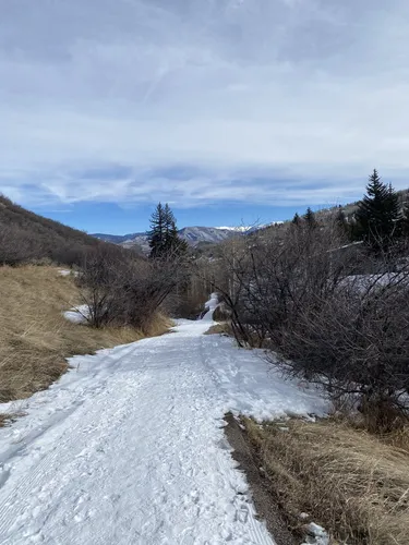 Best Road Biking Trails in Aspen - EyJidWNrZXQiOiJhc3NldHMuYWxsdHJhaWxzLmNvbSIsImtleSI6InVwbG9hZHMvcGhvdG8vaW1hZ2UvNjk0MTUyMjUvOGFkNDhjMTZjODIzMTgzZDNjYTdkMWU5Mzk2MDRlNWYuanBnIiwiZWRpdHMiOnsidG9Gb3JtYXQiOiJ3ZWJwIiwicmVzaXplIjp7IndpZHRoIjo1MDAsImhlaWdodCI6NTAwLCJmaXQiOiJpbnNpZGUifSwicm90YXRlIjpudWxsLCJqcGVnIjp7InRyZWxsaXNRdWFudGlzYXRpb24iOnRydWUsIm92ZXJzaG9vdERlcmluZ2luZyI6dHJ1ZSwib3B0aW1pc2VTY2FucyI6dHJ1ZSwicXVhbnRpc2F0aW9uVGFibGUiOjN9fX0=