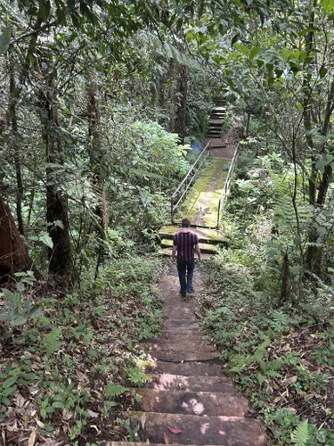 Best Hikes and Trails in Taman Eko-Rimba Parit Falls | AllTrails