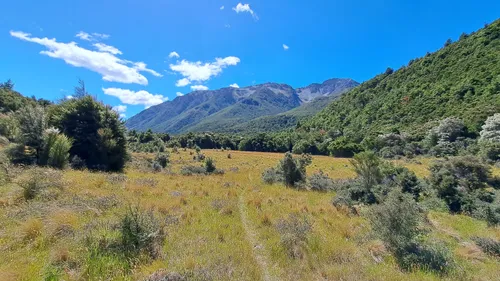 10 Best Hikes and Trails in Lake Sumner Forest Park AllTrails