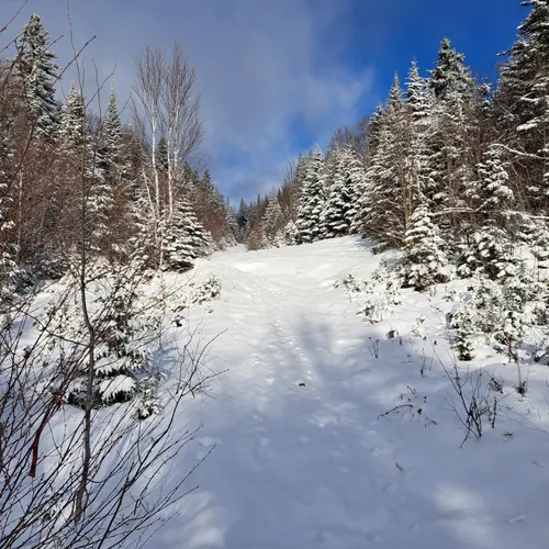 Best Off Road Driving Trails in SaintDonatdeMontcalm AllTrails