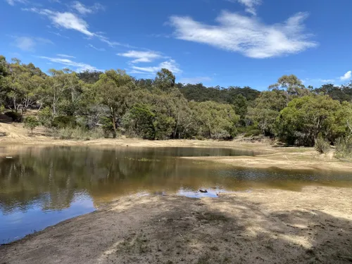 Best Hikes and Trails in Mount Beckworth Scenic Reserve | AllTrails