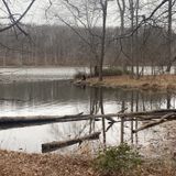 Clopper Lake Shore Trail, Maryland - 2,179 Reviews, Map 