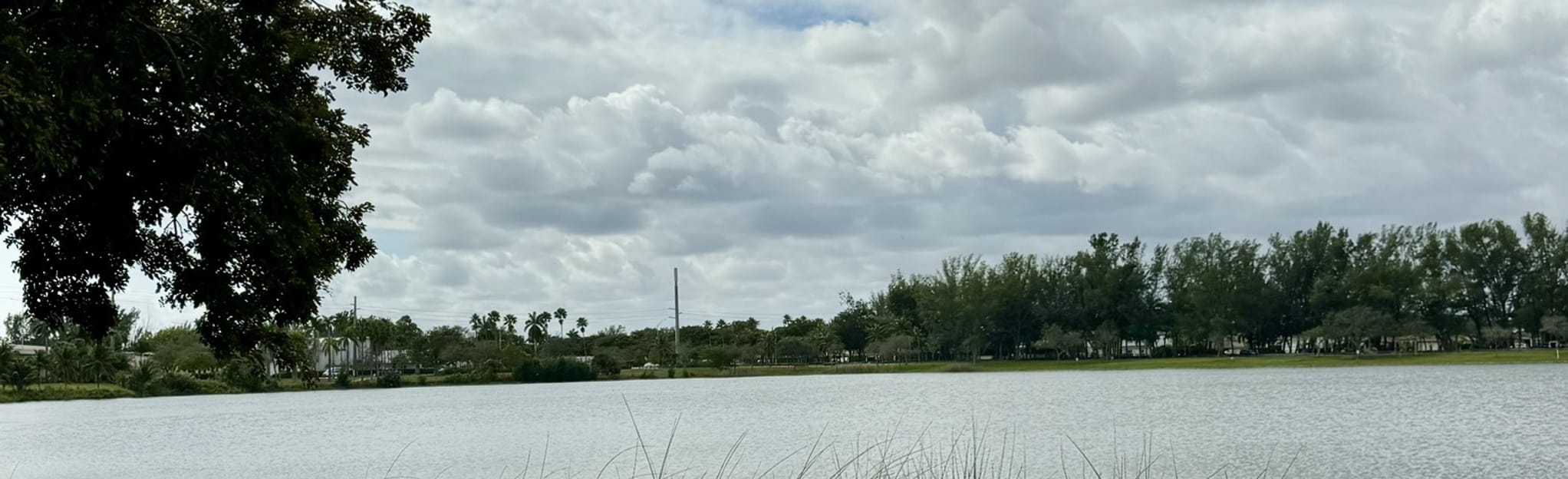 Tropical Park Loop, Florida 178 Reviews, Map AllTrails