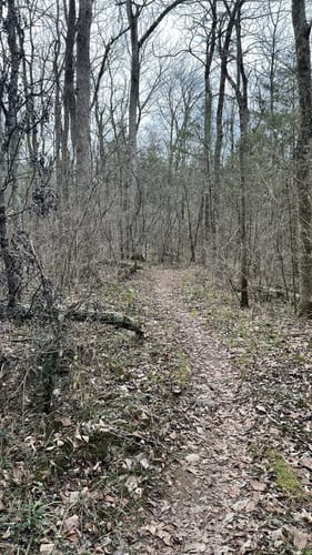 Shutes branch cheap mountain bike trail