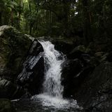 Cedar Creek Falls and Love Creek Falls, Queensland, Australia - 303 ...