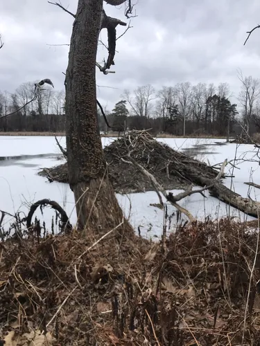 Best Hikes and Trails in Latham AllTrails