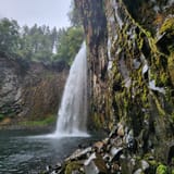 Abiqua Falls Trail, Oregon - 1,866 Reviews, Map | AllTrails