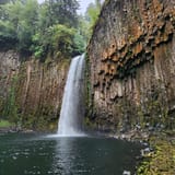 Abiqua Falls Trail, Oregon - 1,866 Reviews, Map | AllTrails