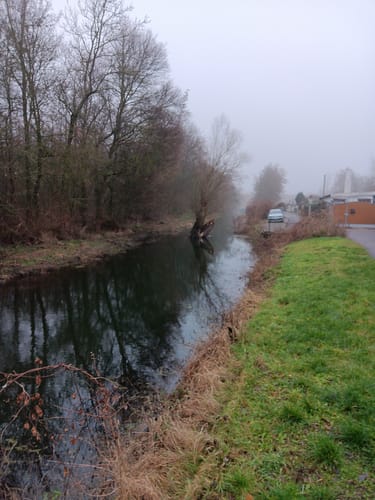 Magdeburg: Adamsee - Barleber See