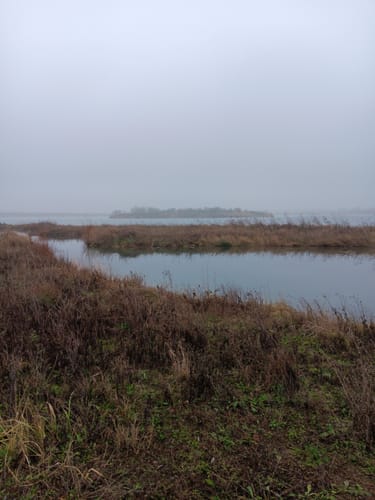 Magdeburg: Adamsee - Barleber See