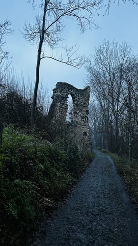 Der Heideweg
