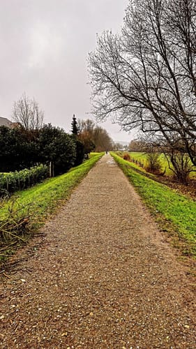 Der Heideweg