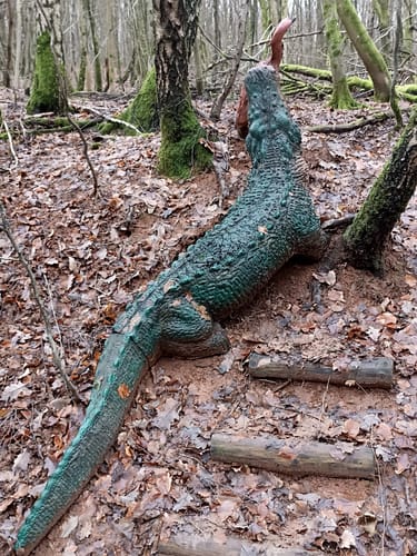 Biberpfad (Premiumwanderweg)