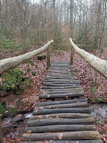Biberpfad (Premiumwanderweg)