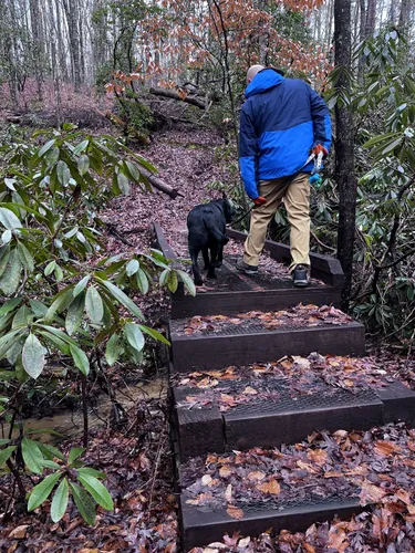 Devils fork 2025 state park hiking