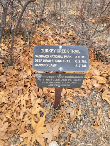 Manning hotsell camp trail