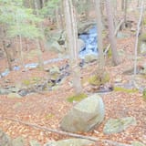 Buck Mountain Trail, New York - 3,135 Reviews, Map | AllTrails