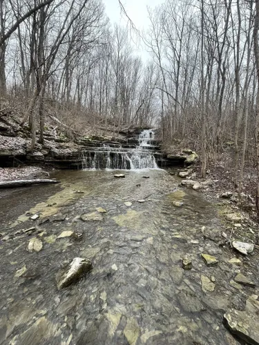 Best Hikes And Trails In Three Falls Woods 