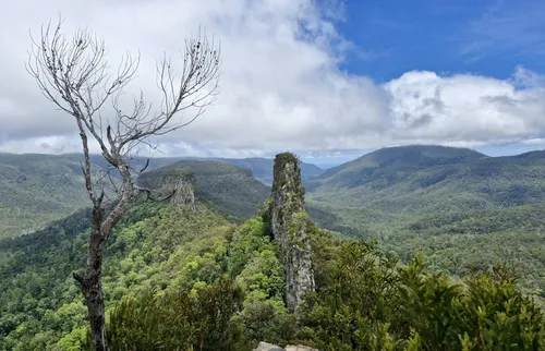 10 Best Hikes and Trails in Main Range National Park | AllTrails