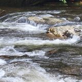 Deep Creek Waterfall Loop, North Carolina - 2,731 Reviews, Map | AllTrails