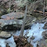 Dukes Creek Trail, Georgia - 2,960 Reviews, Map | AllTrails