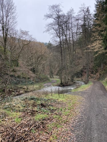 Schieferregion Kaulenbachtal
