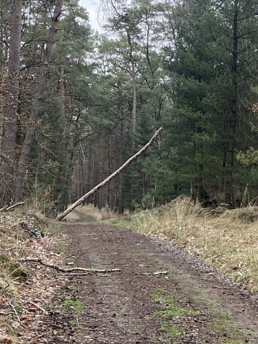 Durch die nördliche Haard