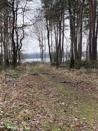 Durch die nördliche Haard