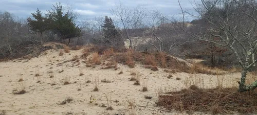 Best Hikes and Trails in Hallock State Park Preserve AllTrails