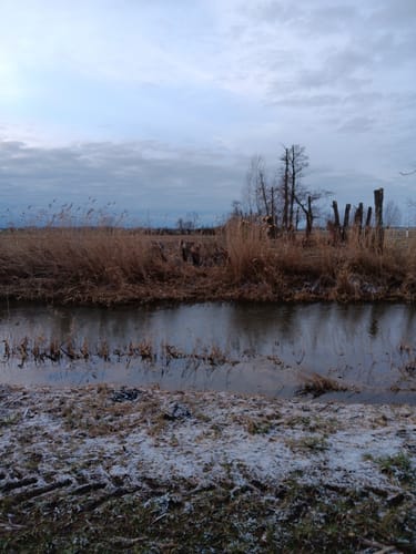 Mit dem Rad durch Wulfener Bruch und über den Elbdeich